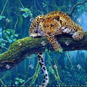panneau lion léopard carré : modéle 098