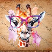 panneau girafe numéro 1178: carré