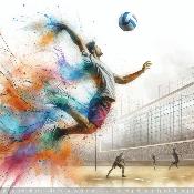 panneau simili  : modèle 2308-HOMME-VOLLEY