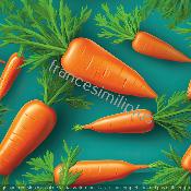 panneau  numéro 1566-carottes