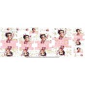 LOT DE POCHETTE :modèle 3