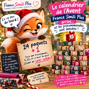 CALENDRIER DE L'AVANT : 24 +1 paquets 