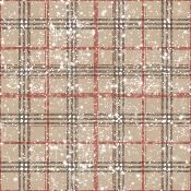 Toile à sac  50cmx157cm :TS39- Tartan ton marron crème