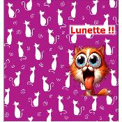 Kit couture créatif : ETUI A LUNETTE : modèle 03