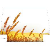 Panneau SIMILI 40x27cm : modèle TRACTEUR 1062A