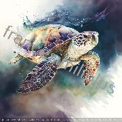 panneau  animaux tortue numéro 1507:carré