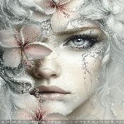 panneau similI  FEMME : modèle 2228