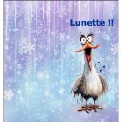 Kit couture créatif : ETUI A LUNETTE : modèle 04